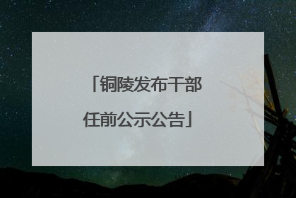 铜陵发布干部任前公示公告